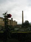 15178 Rose and salts mill.jpg